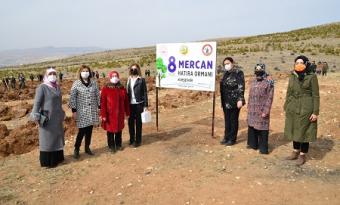 KIRŞEHİR’DE MERCAN HATIRA ORMANI!