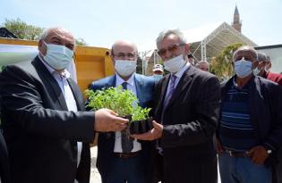 KIRŞEHİR BELEDİYESİ’NDEN ÜCRETSİZ FİDE DAĞITIMI