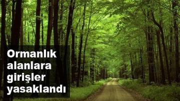 KIRŞEHİR’DE ORMANLIK ALANLARA GİRİŞ YASAKLANDI